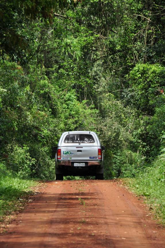 A fiona na estrada que corta o parque do Turvo, na fronteira entre Brasil e Argentina, no município de Derrubadas, no Rio Grande do Sul